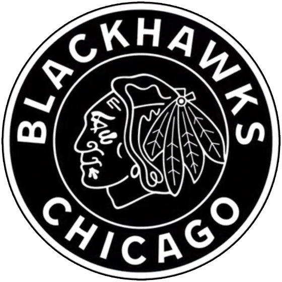 Chicago Blackhawks 2019 Special Event Logo fabric transfer